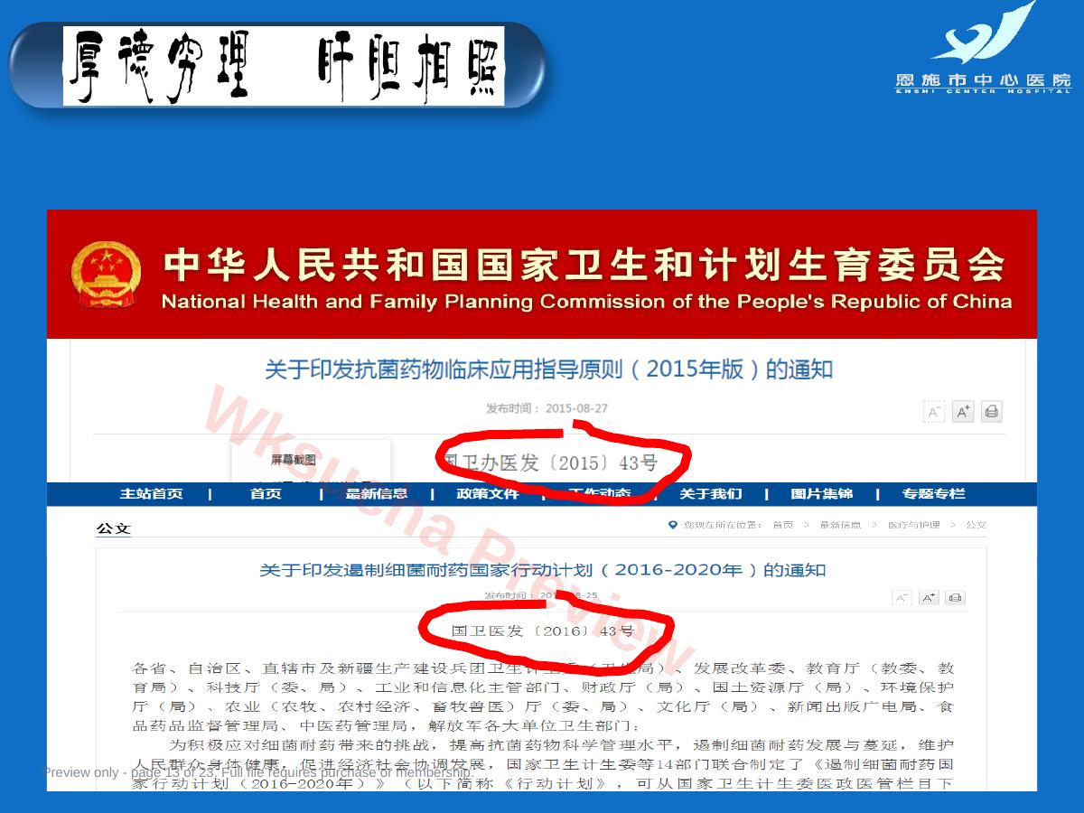 预览第 13 页