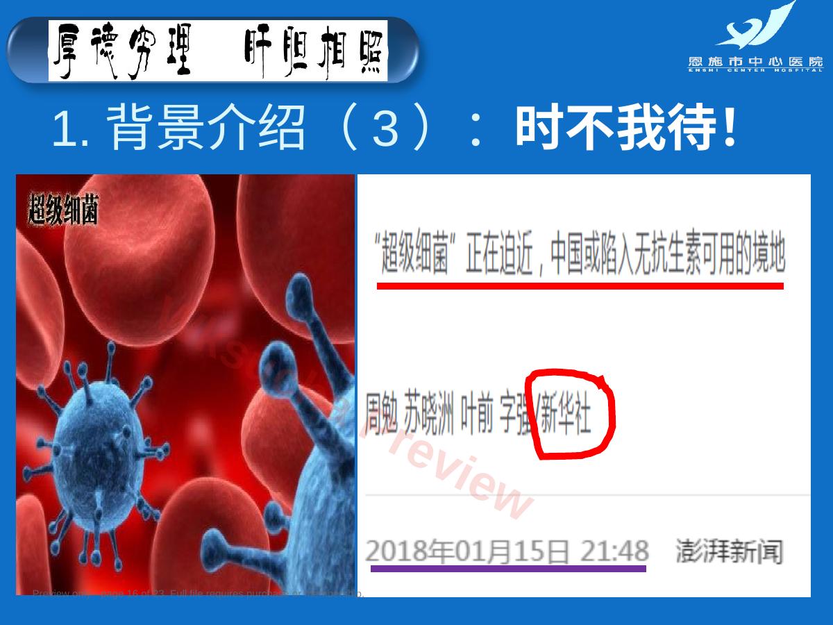 预览第 16 页
