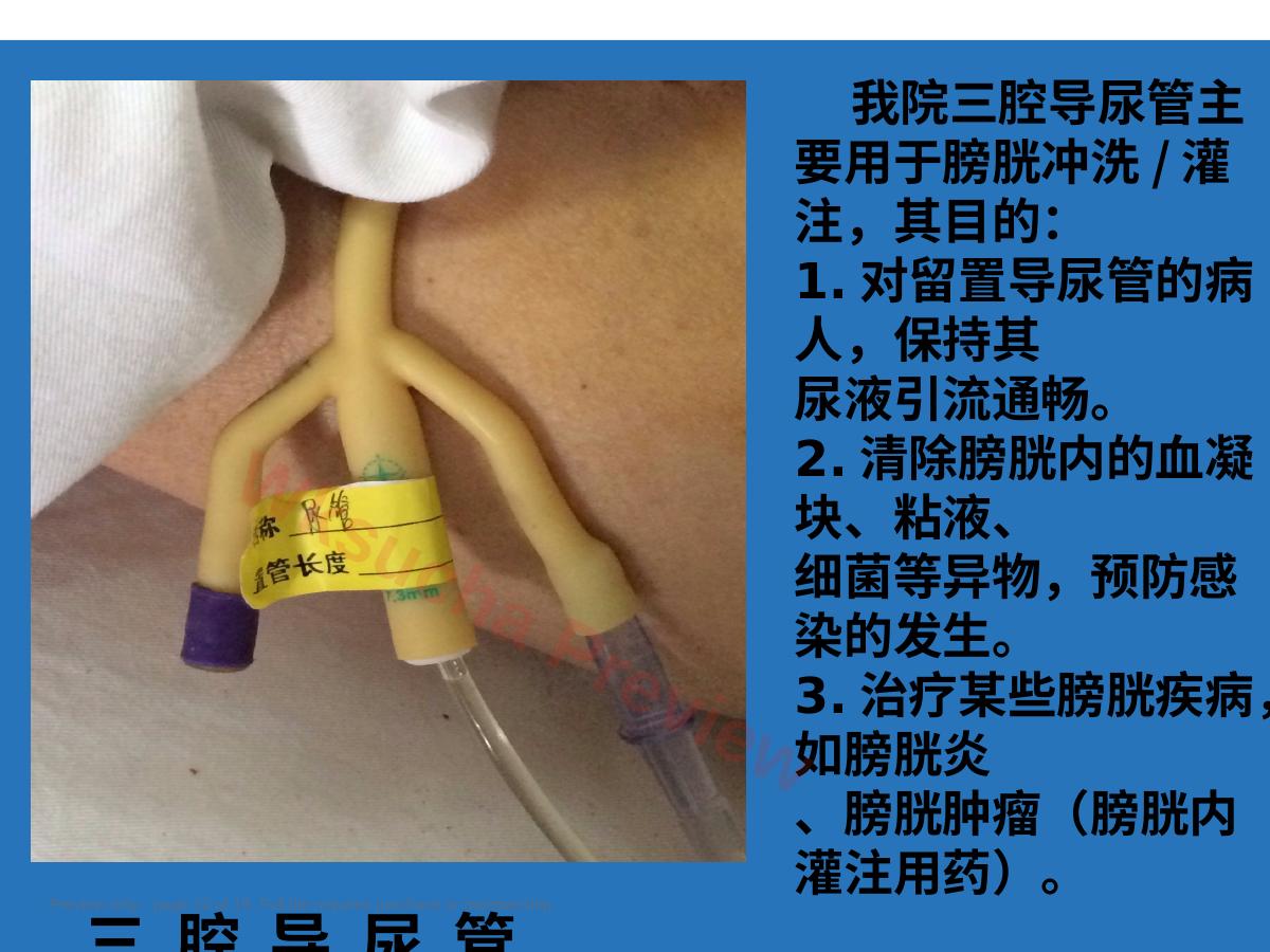 预览第 10 页