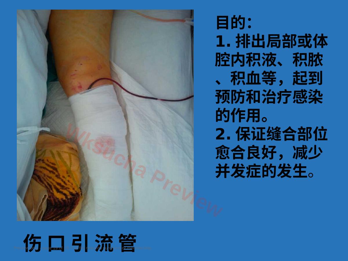 预览第 19 页