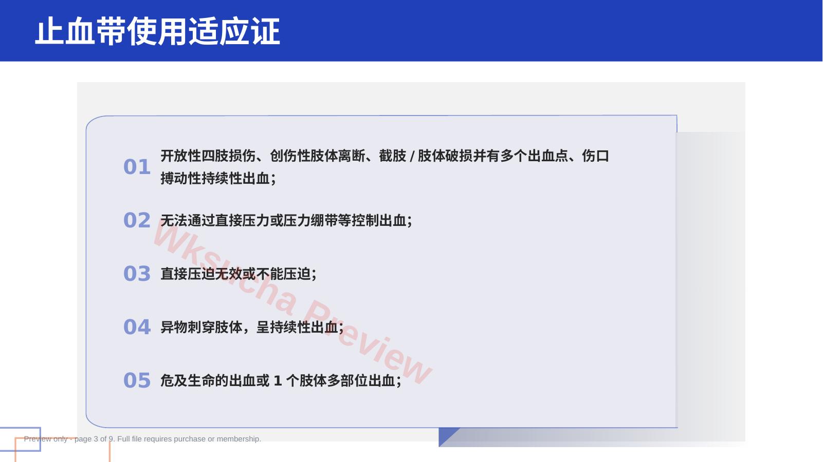 预览第 3 页