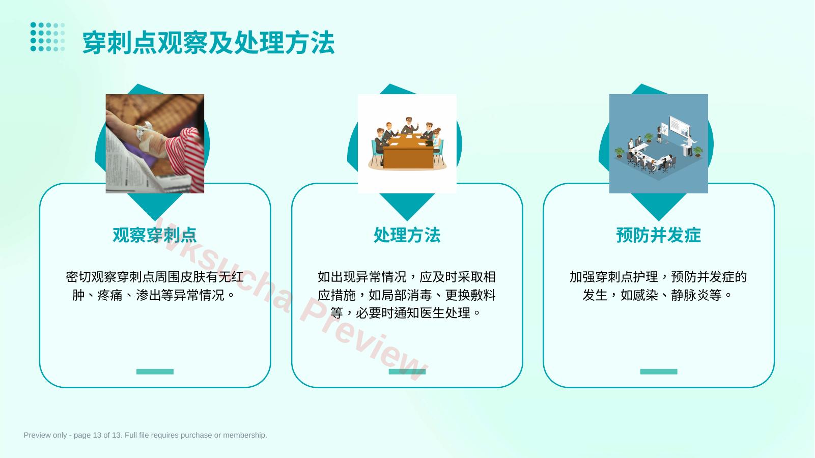 预览第 13 页