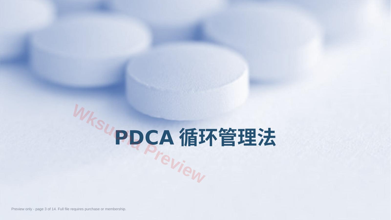预览第 3 页