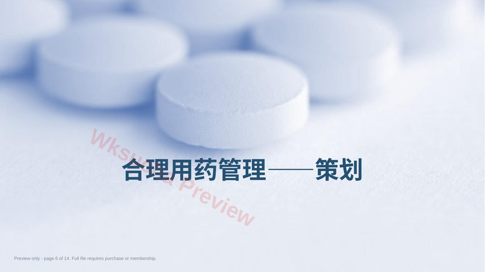 预览第 6 页