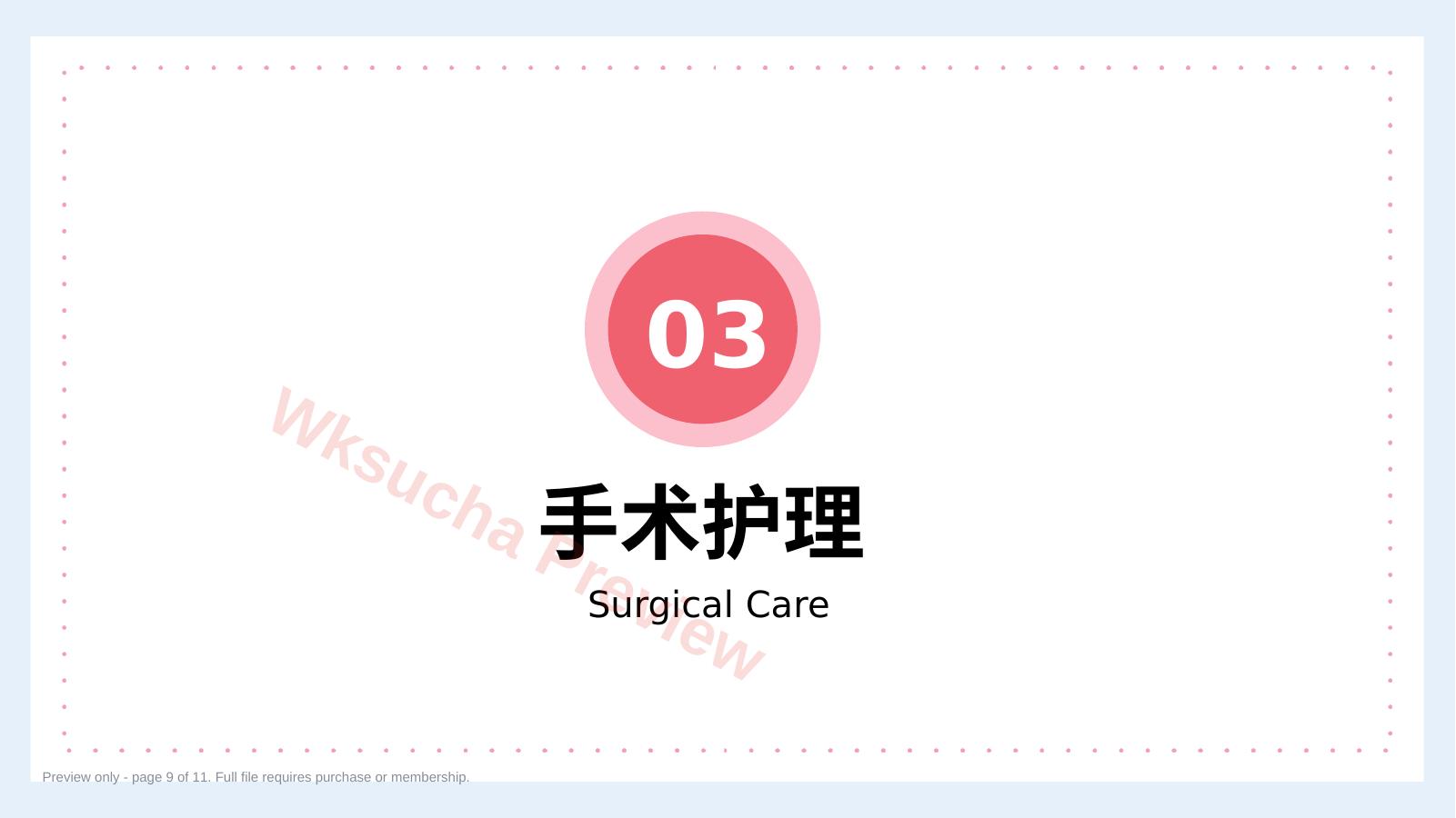 预览第 9 页