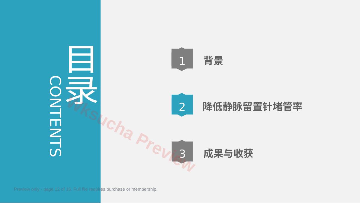 预览第 12 页