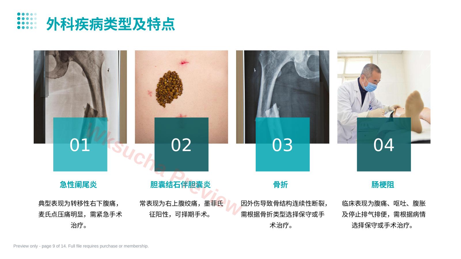 预览第 9 页