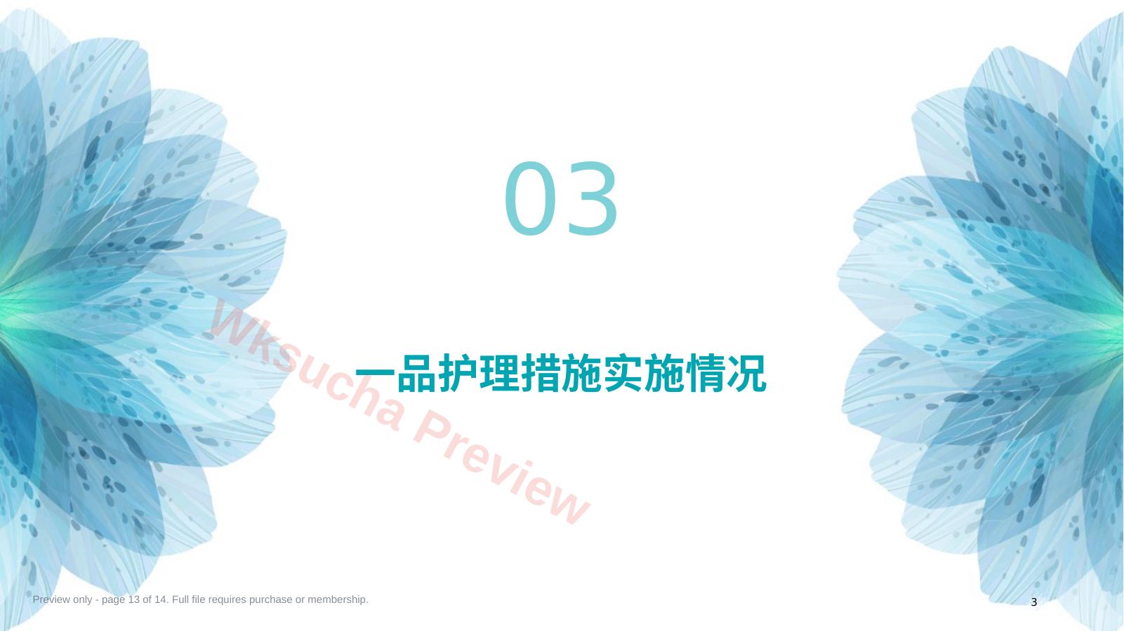 预览第 13 页
