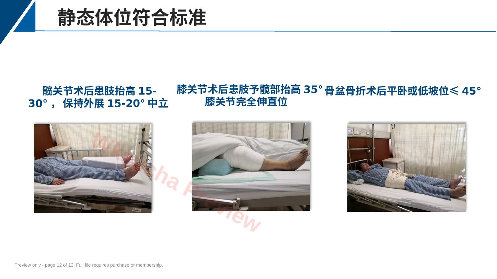 预览第 12 页