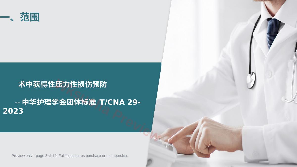 预览第 3 页