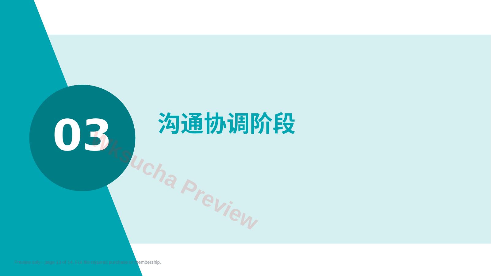 预览第 13 页