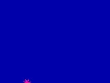 预览第 3 页