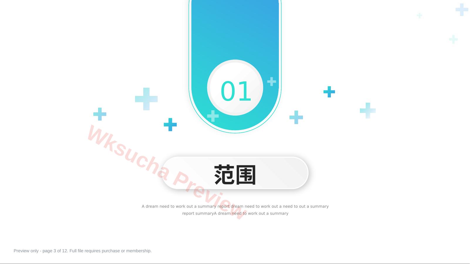 预览第 3 页
