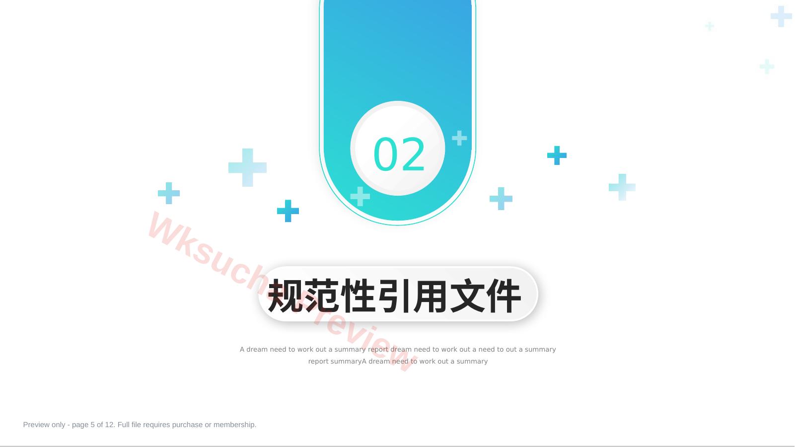 预览第 5 页