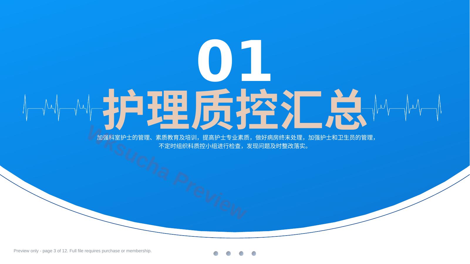 预览第 3 页