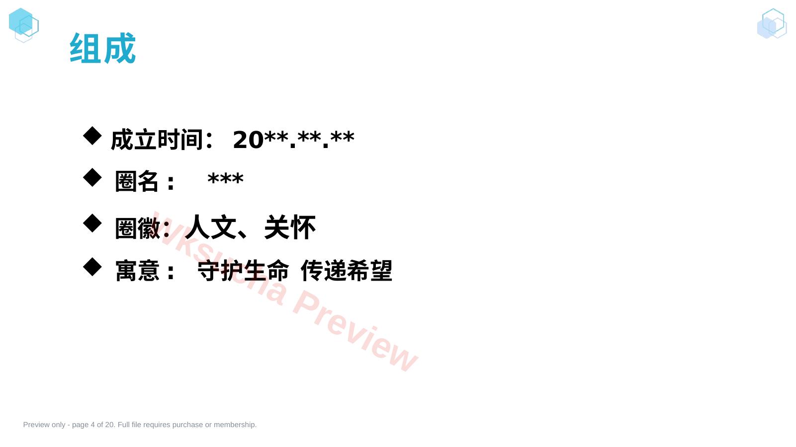 预览第 4 页