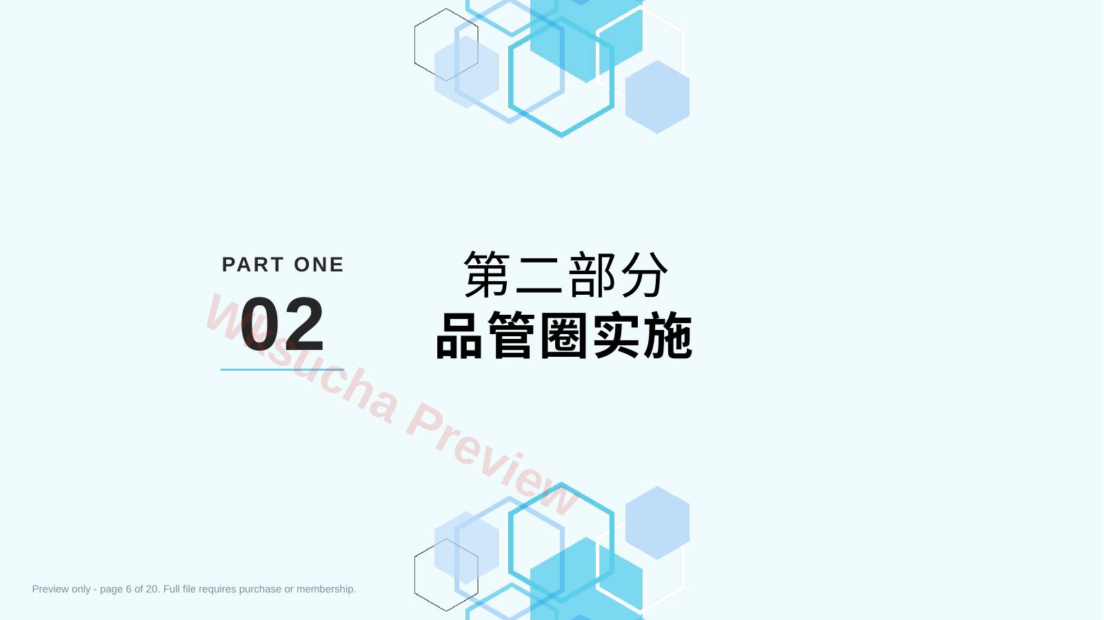 预览第 6 页
