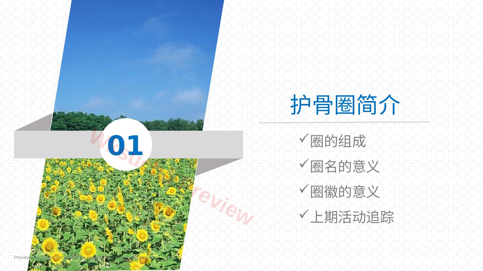 预览第 3 页