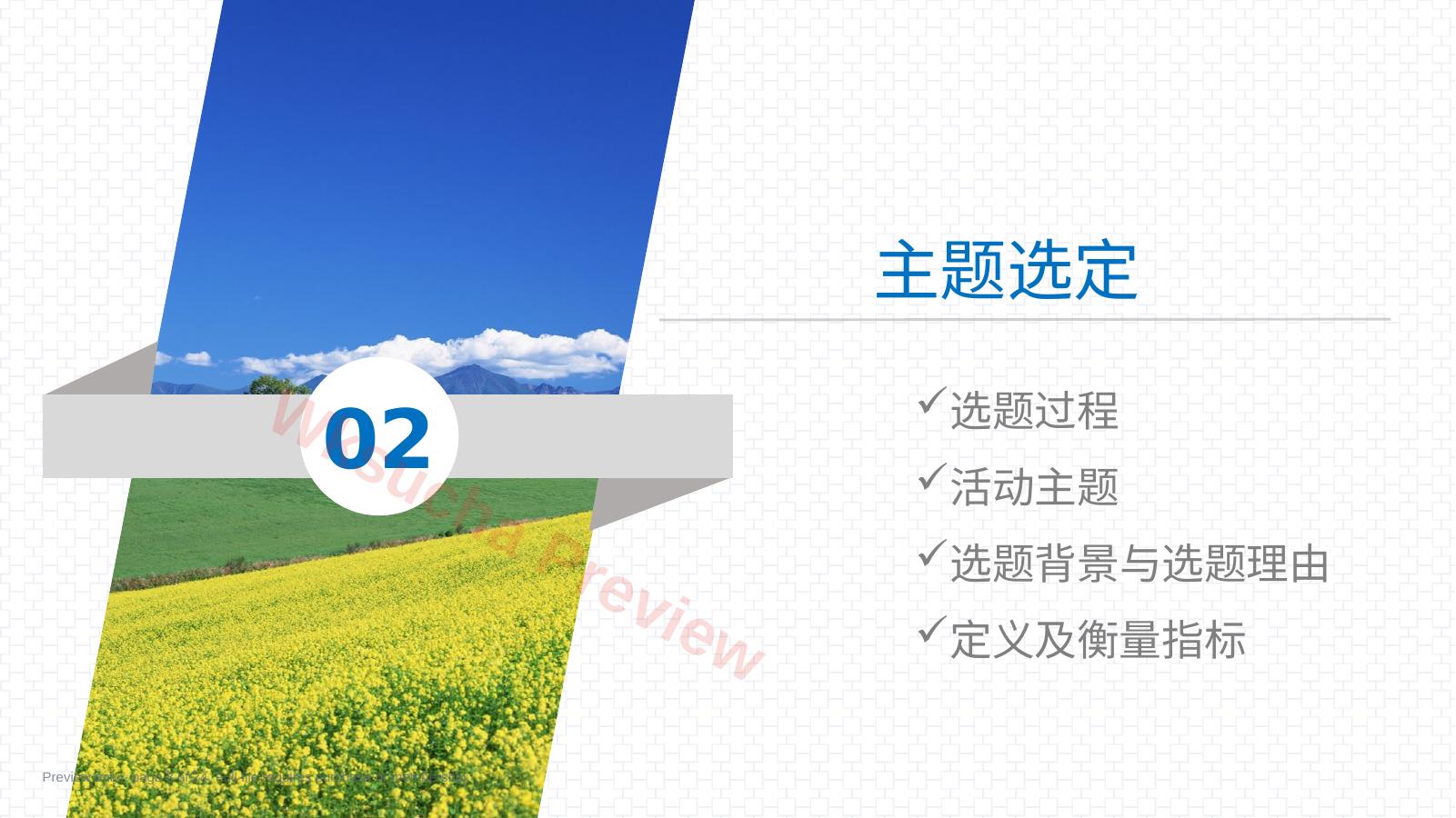预览第 8 页