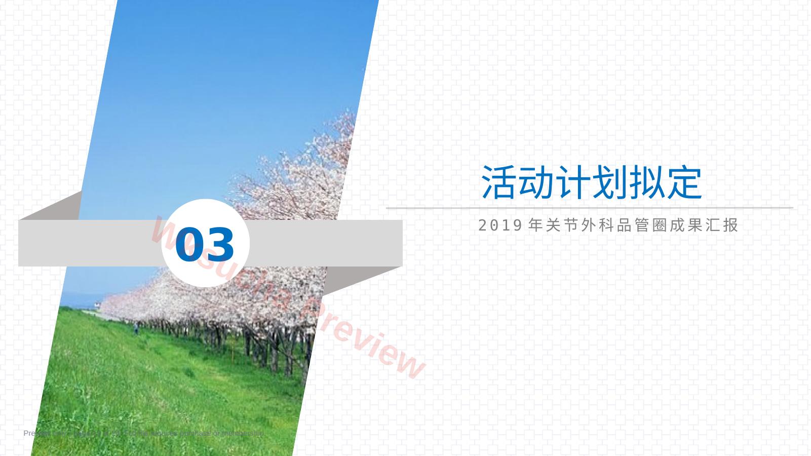 预览第 13 页