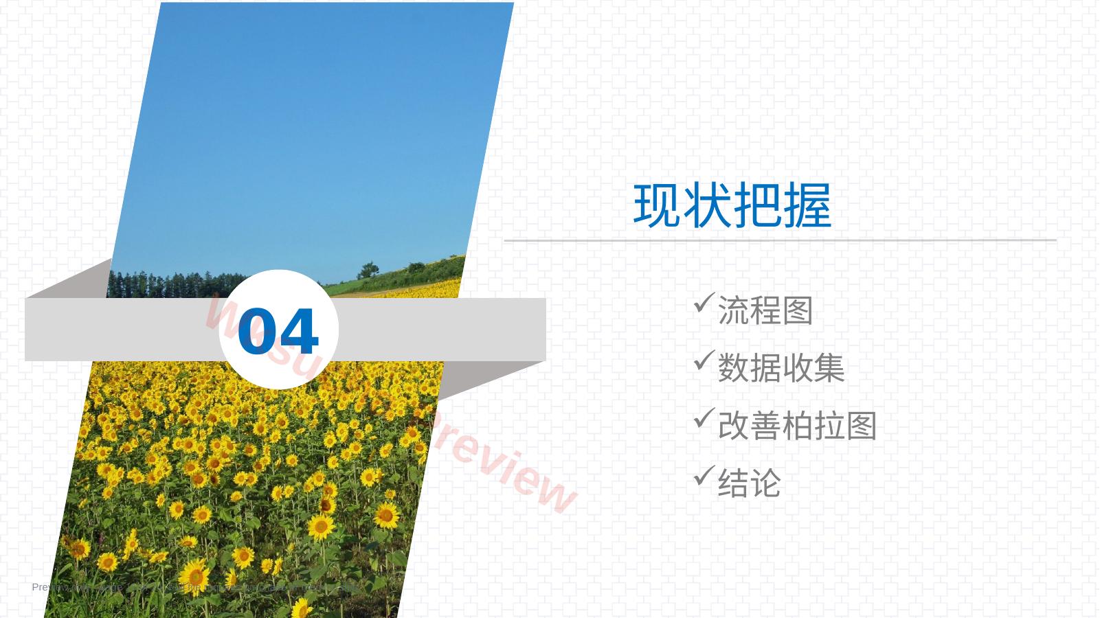 预览第 15 页