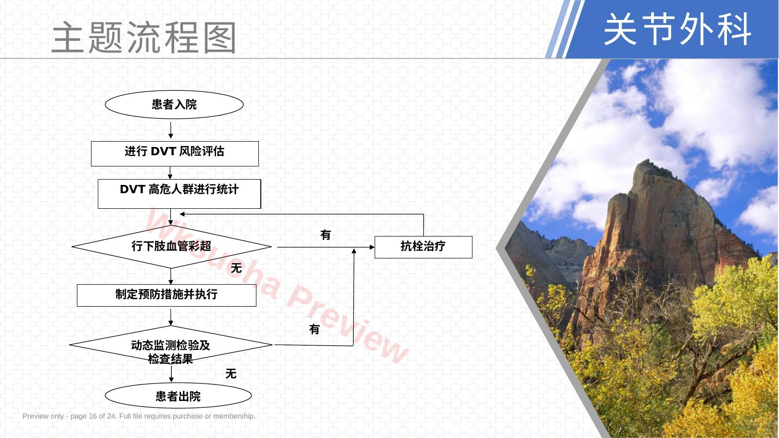 预览第 16 页