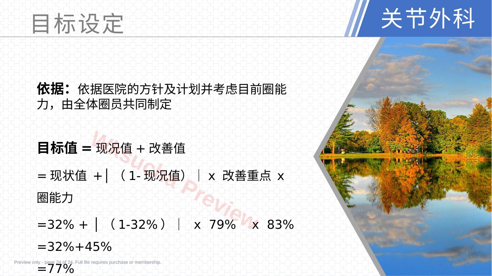 预览第 24 页