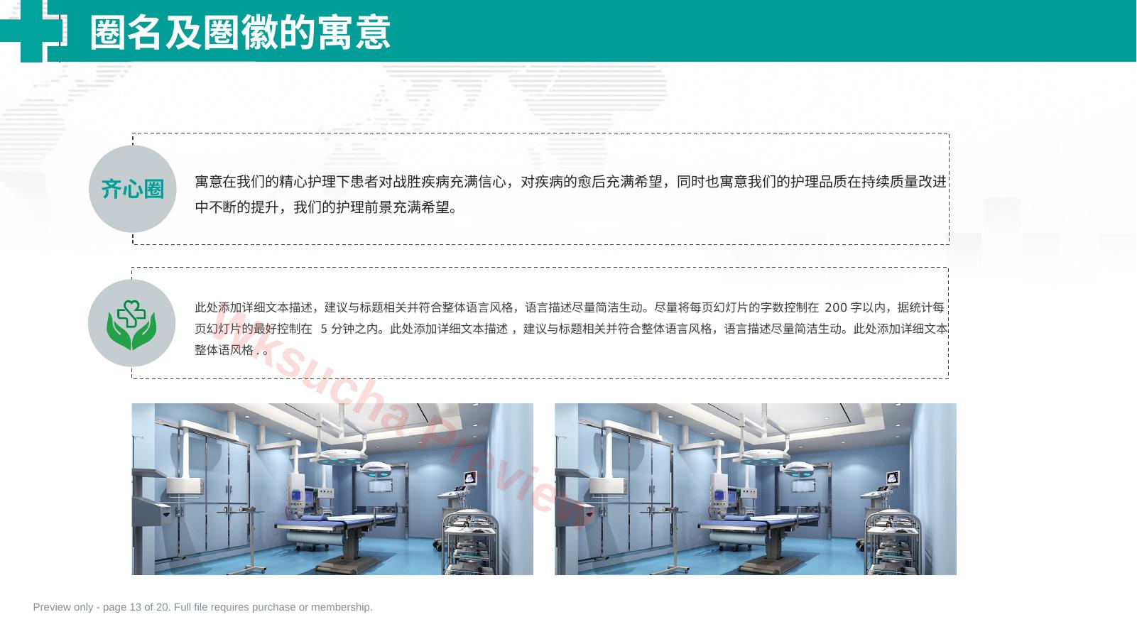 预览第 13 页