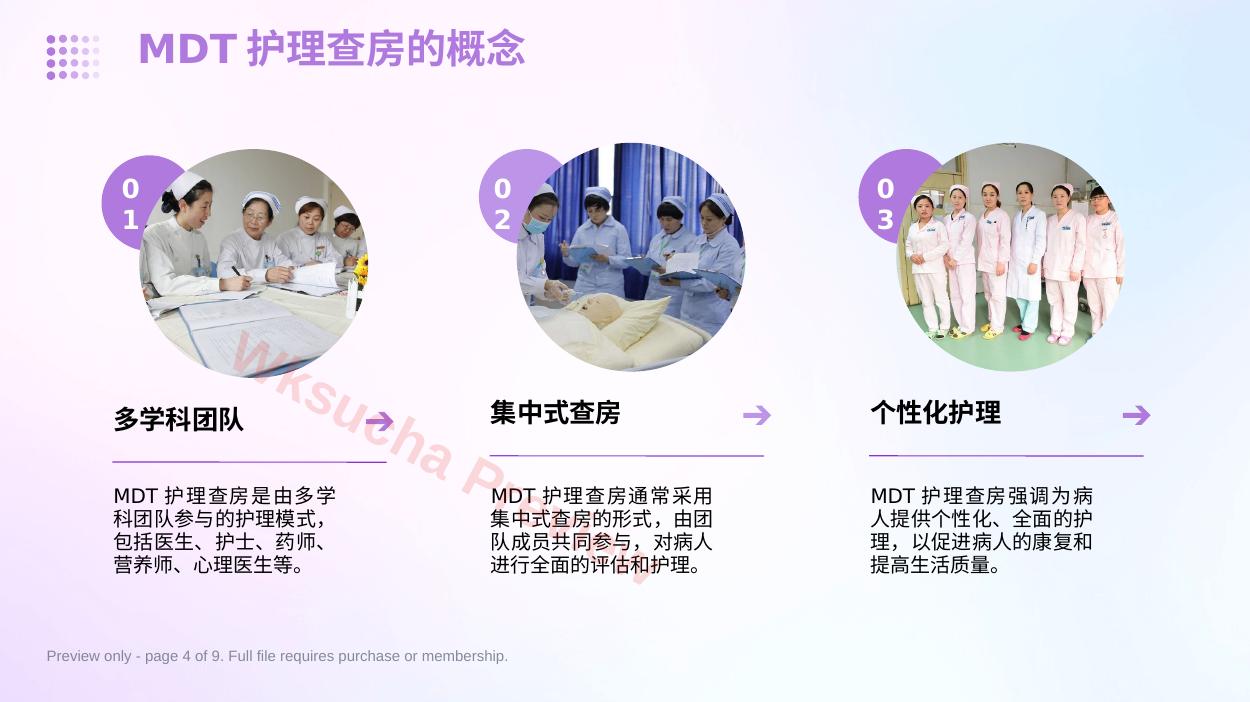 预览第 4 页