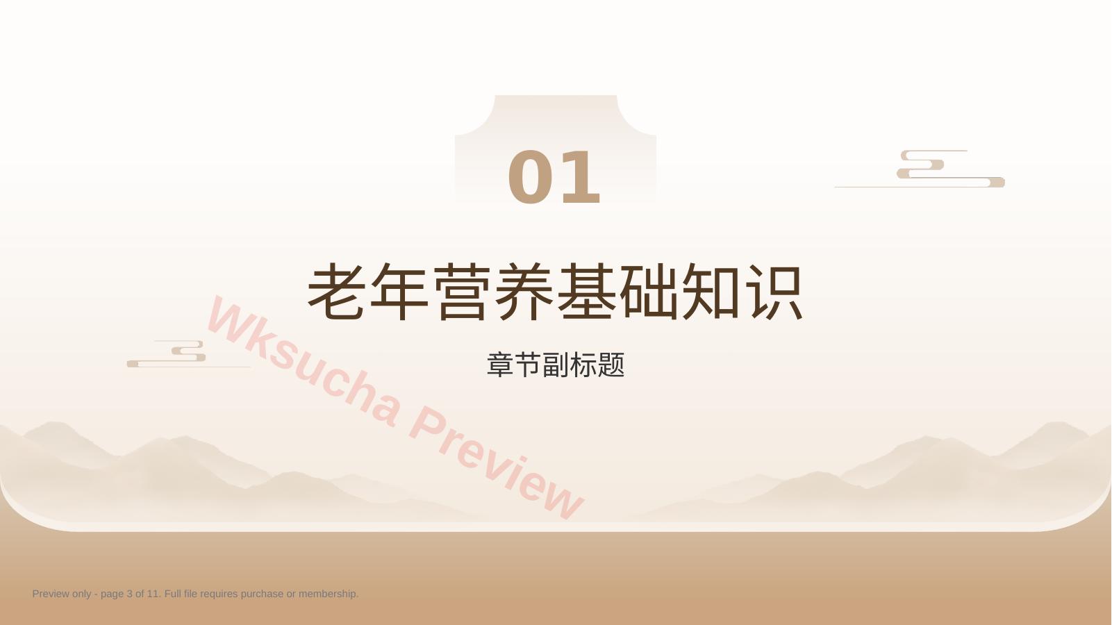 预览第 3 页