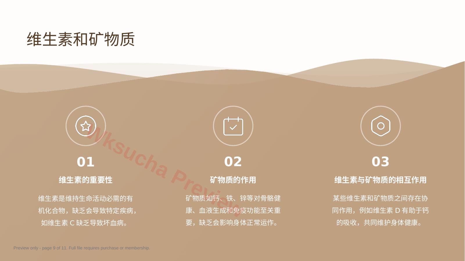 预览第 9 页