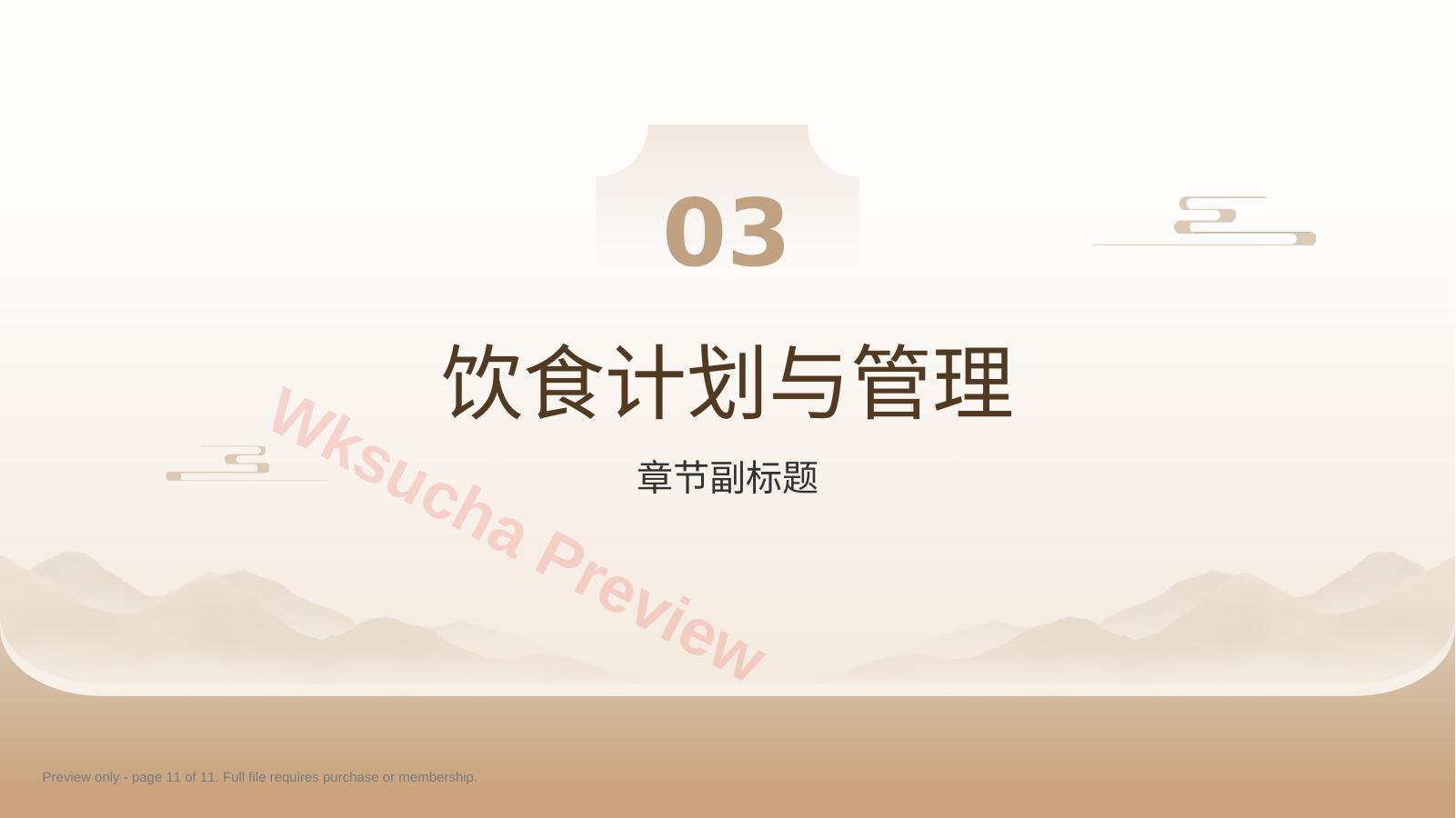 预览第 11 页
